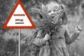 Warning sign: danger allergy season. little girl in the woods with a bouquet of lupins Royalty Free Stock Photo