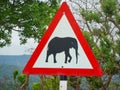 warning sign elephants in the grassland Royalty Free Stock Photo