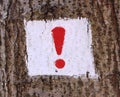 Warning sign or exclamation mark on a tree Royalty Free Stock Photo