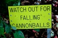 Warning Sign Falling Cannonballs from Cannonball Tree