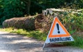 Warning sign with German text reading tree felling BaumfÃÂ¤llung in front of a logged tree trunk. Concept of forestry. Royalty Free Stock Photo