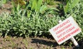 Warning sign on lawn Royalty Free Stock Photo