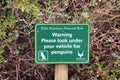 Warning sign for penguins at Boulders Beach Royalty Free Stock Photo