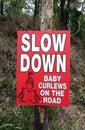 Warning sign requesting care should be taken due to baby Curlews on the road Royalty Free Stock Photo