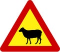 Warning sign with sheeps on road Royalty Free Stock Photo