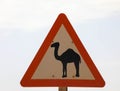 Warning sign, warning of camels in desert Royalty Free Stock Photo