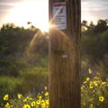 Warning sign on wooden electricity pole sunset Royalty Free Stock Photo