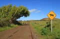 Warning signpost of cow on the roadside with a small group of wild horses in the backdrop, Easter Island, Chile Royalty Free Stock Photo