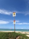 Warning Signs at Maui Beach