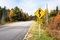 Warning traffic sign on a winding road running through a forest at the peak of fall foliage Royalty Free Stock Photo