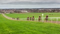Warren Hill Newmarket England Racehorse Training Royalty Free Stock Photo