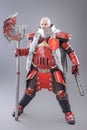 Warrior in the Armor with Axe and Firelock Royalty Free Stock Photo