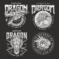 Warrior dragon set poster monochrome Royalty Free Stock Photo