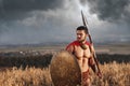 Warrior going in attack with rounded shield and weapon. Royalty Free Stock Photo