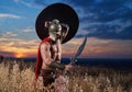 Warrior in helmet holding sword over head. Royalty Free Stock Photo