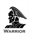 Warrior knight head