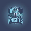 Warrior mascot for sport teams. Knight with shield, logo, symbol on a light background.