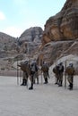 Warriors in Perta, Jordan