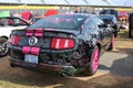 Warriors in Pink Breast Cancer Awareness Mustang