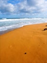 Warrnambool Beach in Australia Royalty Free Stock Photo