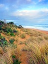 Warrnambool Beach in Australia Royalty Free Stock Photo
