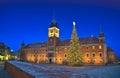 Royal Castle and Christmas tree Royalty Free Stock Photo