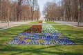 Warsaw, Poland - April 3, 2019: Beautiful Saxon garden, park with red, blue and white flowers. Royalty Free Stock Photo