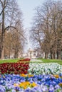 Warsaw, Poland - April 3, 2019: Beautiful Saxon garden, park with red, blue and white flowers Royalty Free Stock Photo