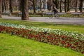 Warsaw, Poland - April 3, 2019: Beautiful Saxon garden, park with red, blue and white flowers Royalty Free Stock Photo