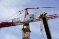 Two cranes against the blue sky