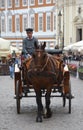 Horse carriage appeared in the city in 1798 after World War II