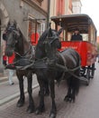 Horse carriage appeared in the city in 1798 after World War II