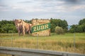 Warsaw, Poland- July 1, 2023: Zubr polish beer advertisement on the side of the road