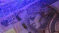 Warsaw, Poland 01.01.2021 Polish zloty under the UV lamp. Testing paper money for counterfeiting concept. extreme close Royalty Free Stock Photo