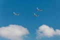 Warships parade on the Neva river. Day of the Russian Navy. Combat aircraft in sky Royalty Free Stock Photo