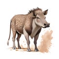 Warthog in cartoon style. Cute Little Cartoon Warthog isolated on white background. Watercolor drawing, hand-drawn in watercolor. Royalty Free Stock Photo