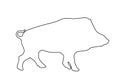 Warthog vector line contour silhouette illustration isolated on white background. Bush Pig. Wild boar symbol. Boar isolated. Royalty Free Stock Photo