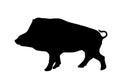 Warthog vector silhouette illustration isolated on white background.