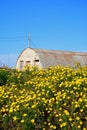 Wartime military building and spring flowers, Malta. Royalty Free Stock Photo