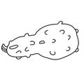 Warty or pimpled gourd in doodle. Royalty Free Stock Photo