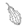 Pimpled gourd in doodle style. Royalty Free Stock Photo