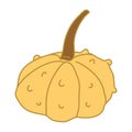 Warty or pimpled yellow gourd in cartoon flat style. Royalty Free Stock Photo