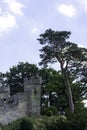 Warwick Castle - Mound