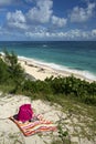 Warwick Long Bay, Bermuda Beaches