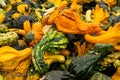 Warwick, NY / United States - Sept. 26, 2020: Landscape background image of autumnal gourds Royalty Free Stock Photo