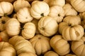 Warwick, NY / United States - Sept. 26, 2020: Landscape background image of autumnal gourds Royalty Free Stock Photo