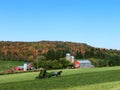 Amish Working in the Fields in Ohio in Autumn Royalty Free Stock Photo