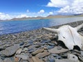 Lying on stones and watching lake Royalty Free Stock Photo