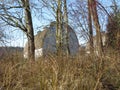 The old rustic barn hidding in the trees Royalty Free Stock Photo