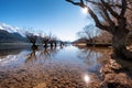 Scenic landscape of famous willow trees in Glenorchy, New Zealand